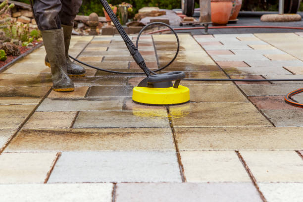 Best Sidewalk and Walkway Cleaning  in Sparta, IL